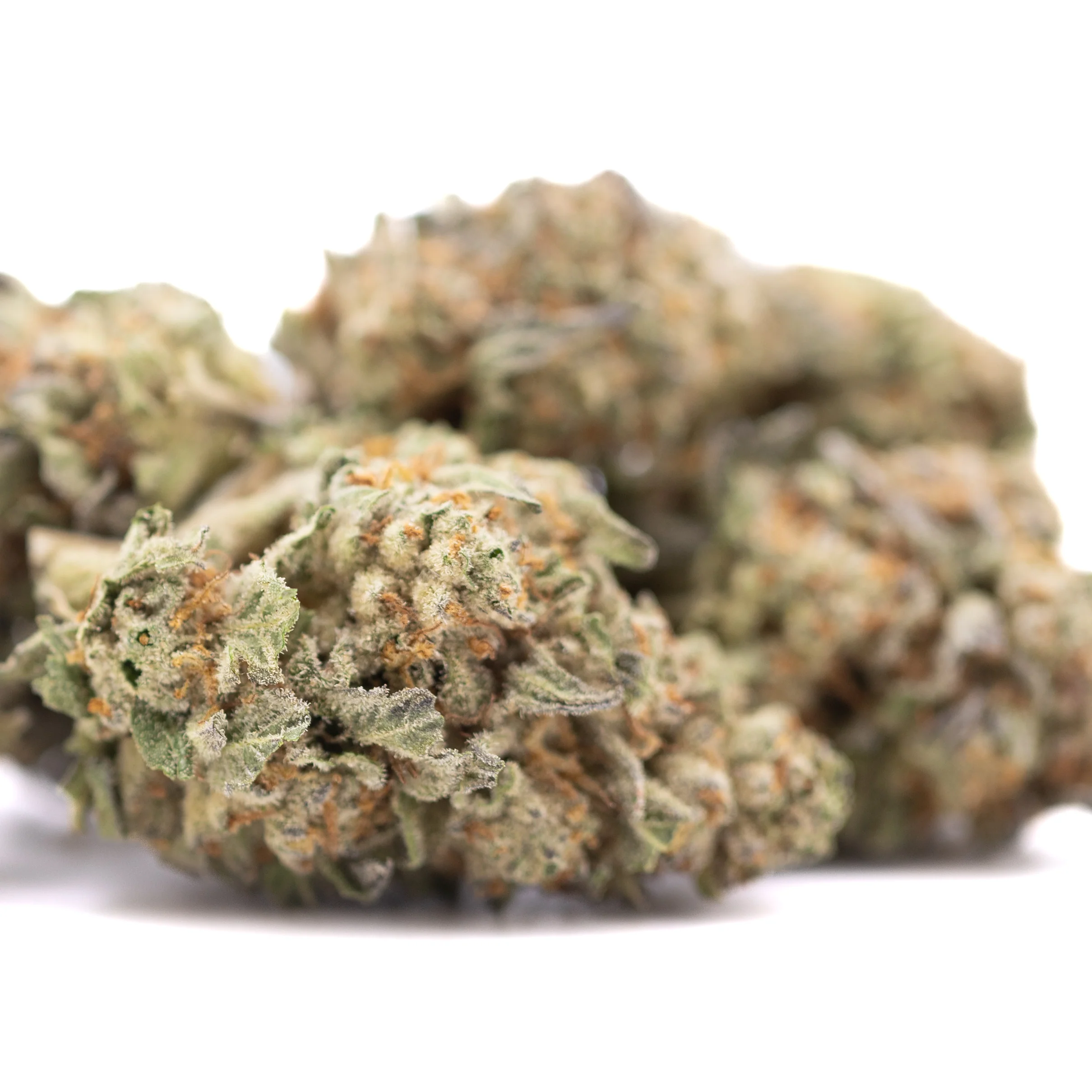 Astroboy THCa hemp flower greenhouse grown buds with frosty trichomes and bright green color