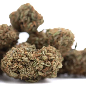 Lemon Octane CBD full term hemp flower outdoor grown buds with frosty trichomes and orange pistils