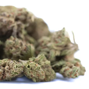 Moroccan Peach THCa hemp flower greenhouse smalls with frosty trichomes and light green buds