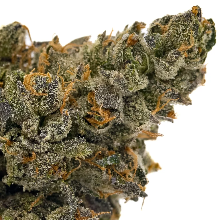 Red Runtz indoor THCa flower dense frosty buds with deep green and purple hues and bright orange pistils
