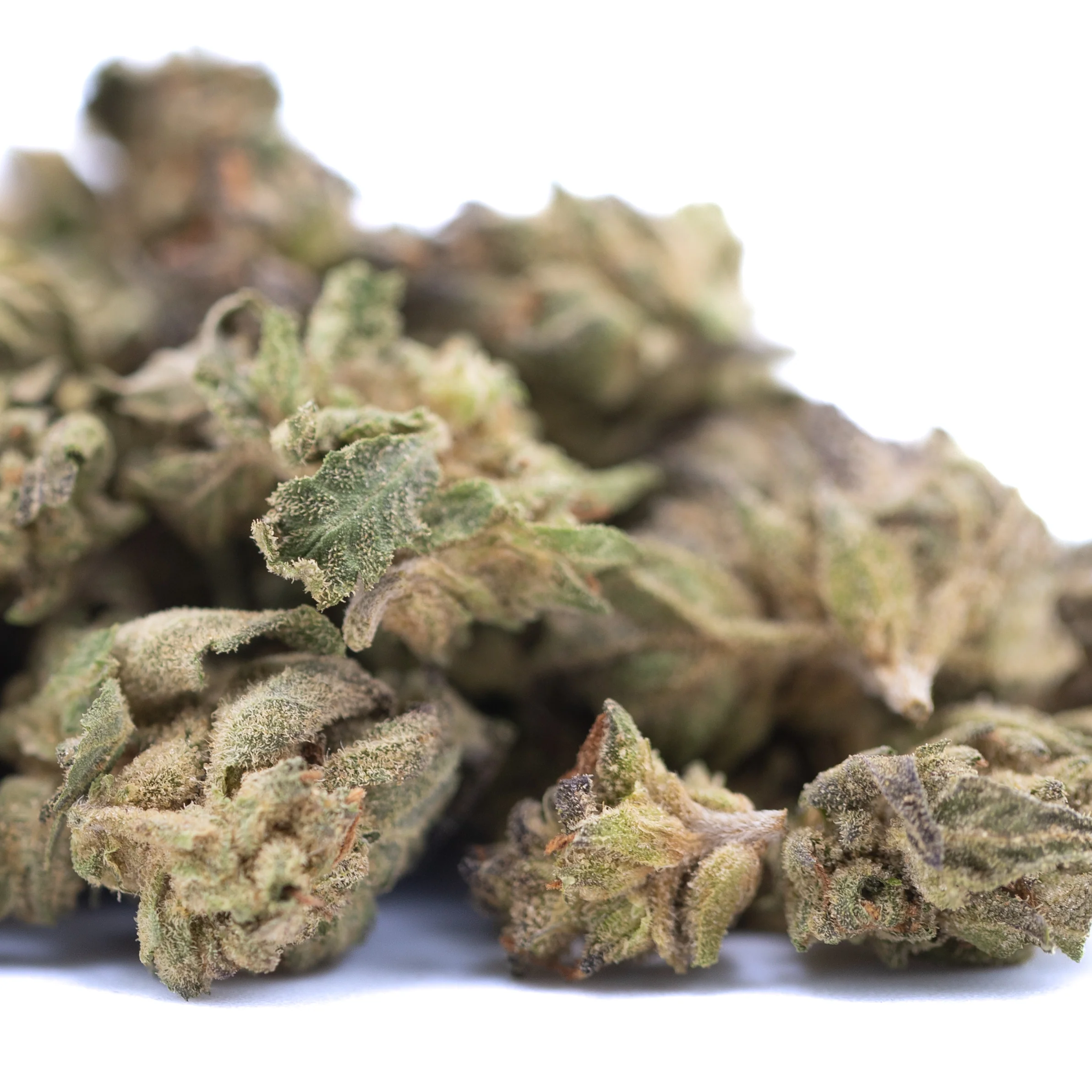 Rozay Cake THCa hemp flower greenhouse small buds with frosty trichomes and purple hues