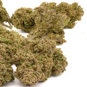 Sasquatch THCa hemp flower dense frosty buds with deep green tones and orange pistils