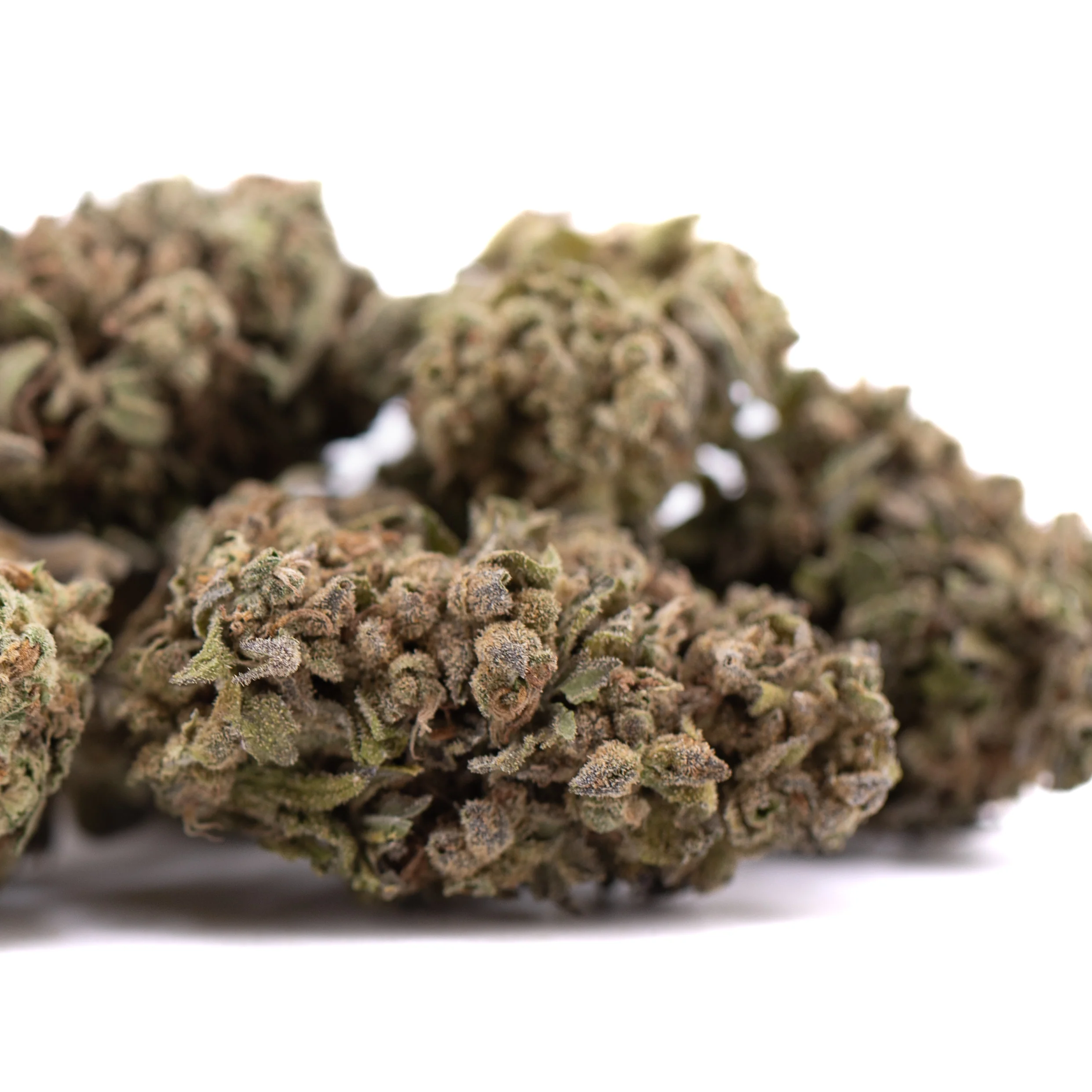 Strawberry Cheesecake THCa flower full term dense frosty buds with green and purple tones and orange pistils