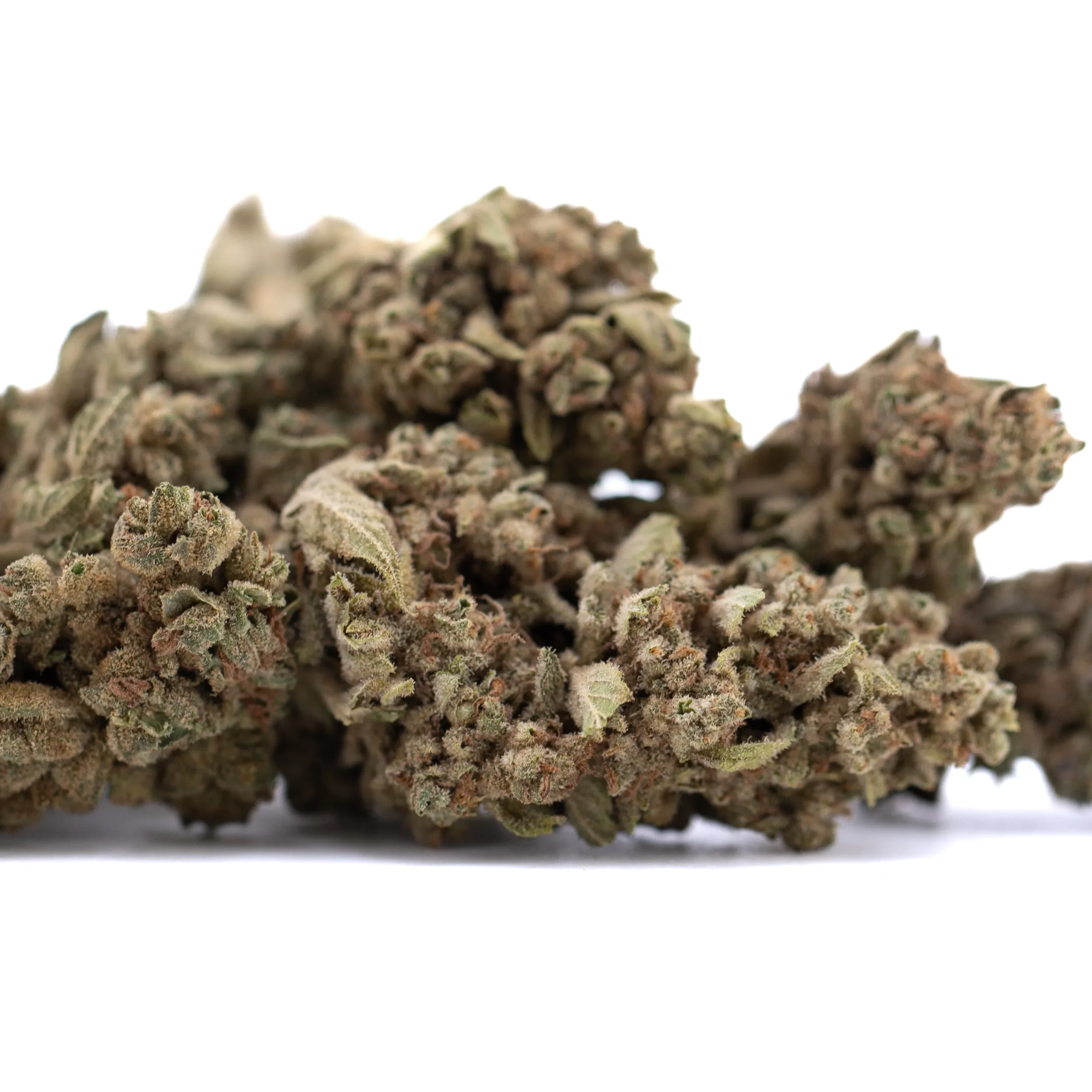 Turtle Taffy THCa full term hemp flower dense outdoor buds with frosty trichomes and vibrant green color