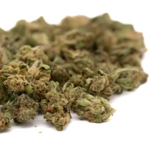 pivot-cbd-hemp-flower-dense-resin-rich-buds-premium-quality